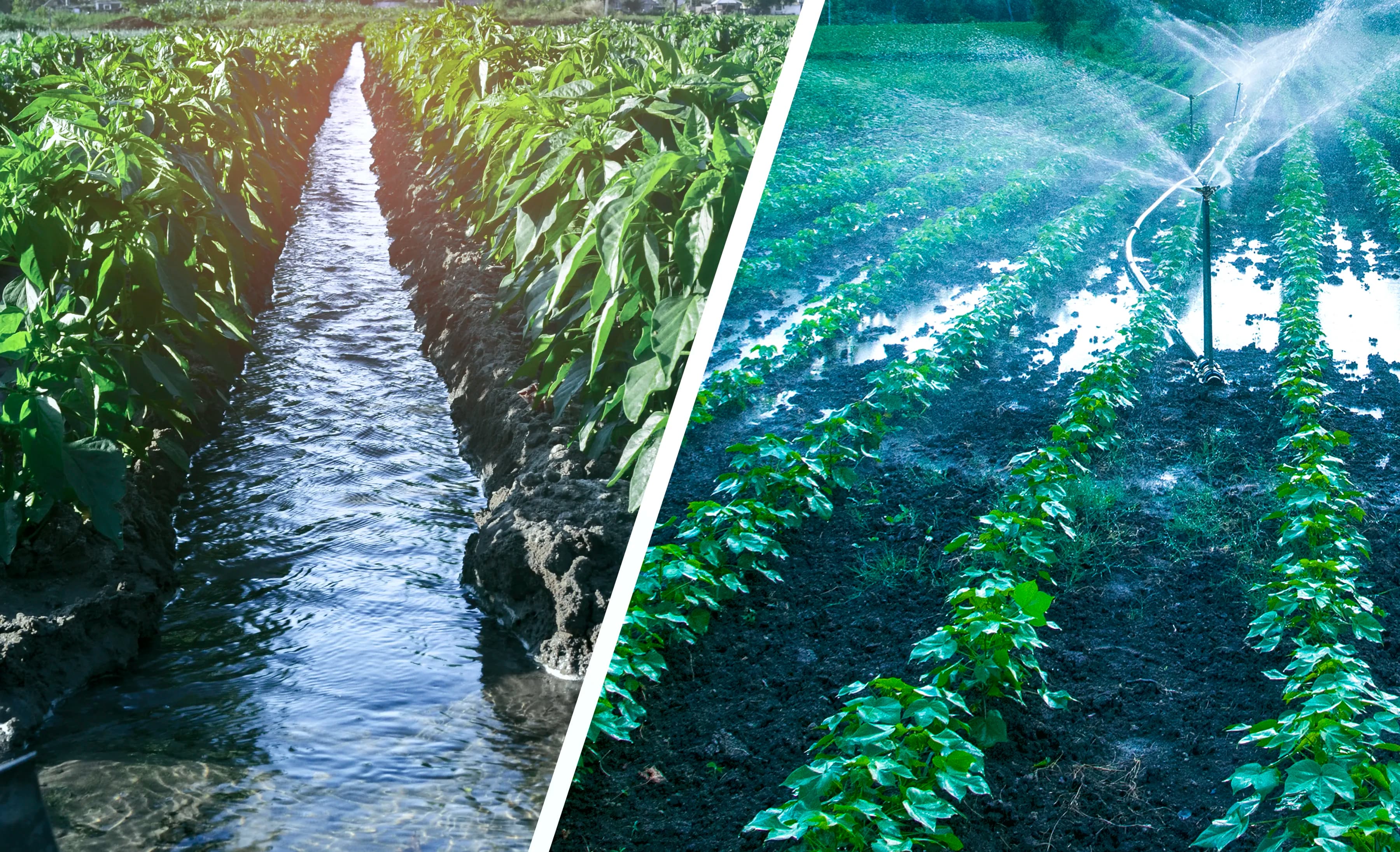Water treatment infrastructure